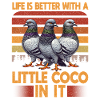 Pigeon Lovers Pigeons Bird Lovers