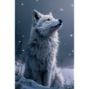 White Wolf Illustration Poster