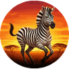 Zebra at sunrise