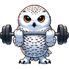Eule Schneeeule Workout Fitness Training