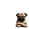 Bevor du nervst... Nein!