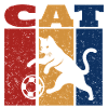 Cat Playing Football Retro Design