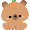 Cute Capybara