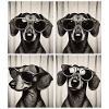 Fotobox Dackel mit Sonnenbrille