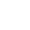 ALLEMAND DE L’EST Ossi est-allemand