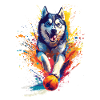 Sibirischer Husky