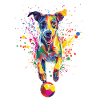 Whippet