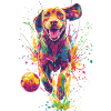 Vizsla