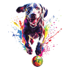 Weimaraner