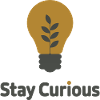Stay Curious Light Bulb