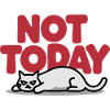 Not Today Cat