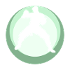 MMA Jiujitsu Mixed Martial Arts