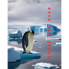 Rette die Welt Pinguin
