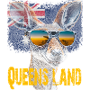 Queensland Roo