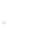 Salsa Dancer Dancer