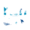 Aquarium Aquaristik