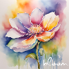 bloom