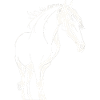 Cheval majestueux