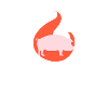 BBQ_Pork_one
