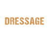Rider A Day Without Dressage