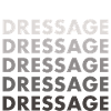 Rider Dressage