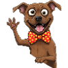 Funny Dog