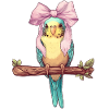 Coquette Cockatiel Perruche Perroquet