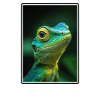 Lizards Lizard