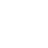 Plauen Original