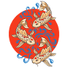 Poissons Koi Koi Carpes Lovers