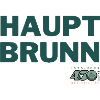 HAUPTBRUNN