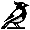 Vogel