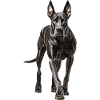 Deutsche Dogge