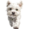 Maltesisch