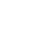 Weapon Gun