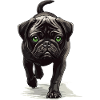 Mops