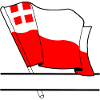 Flag Utrecht text banner