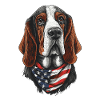 Basset