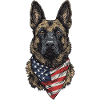 Belgischer Malinois