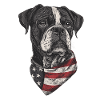 Boxer