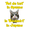Ari le chat