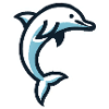 Cute Dolphin – Playful & Cheerful