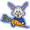 Rabbit and Carrot