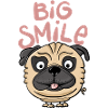 Pug Big Smile