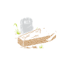 Lost my mind