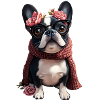 BABA BULLDOG