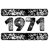 1971 1971