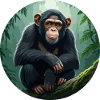 Chimpanzee on tree branch