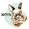 Moin