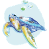 Turtle 02